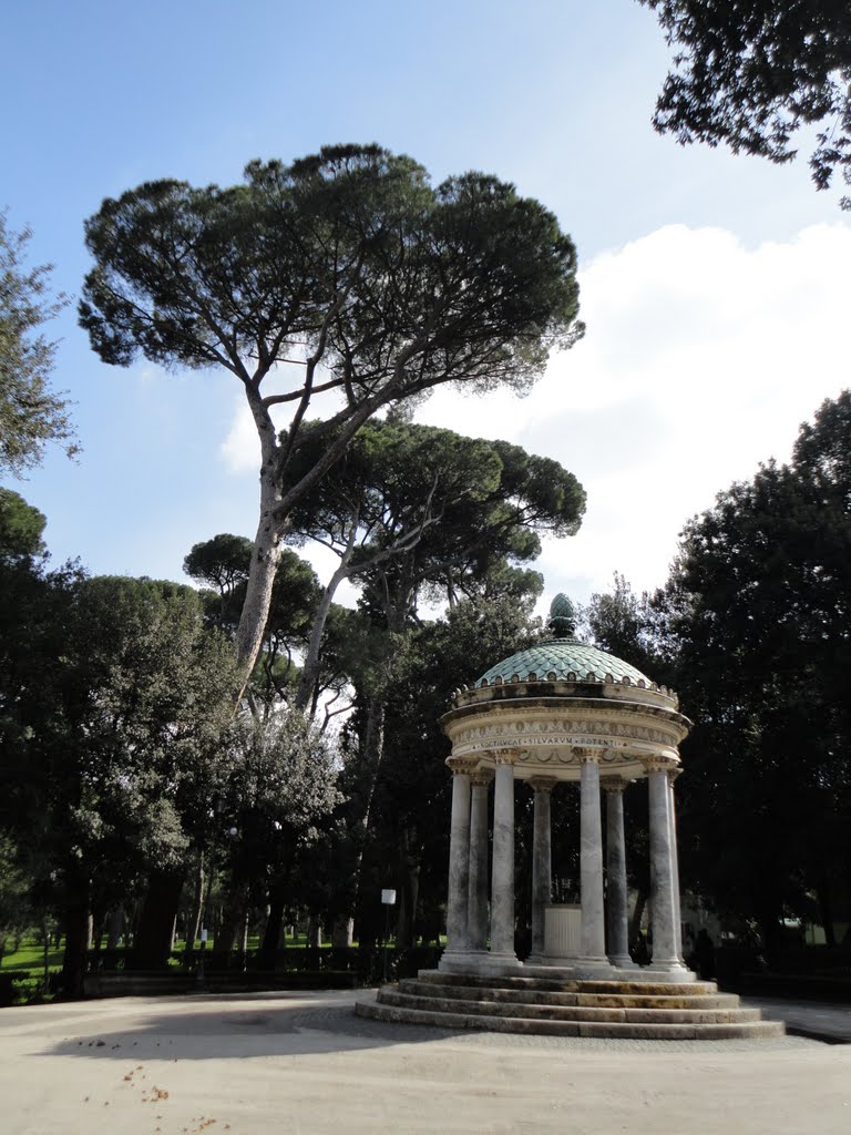 Parco Borghese, Roma by Corneliu Anca