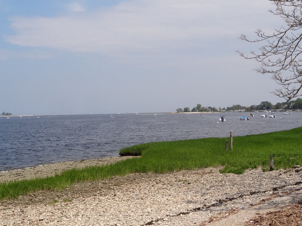 Saugatuck Harbor by rogerking