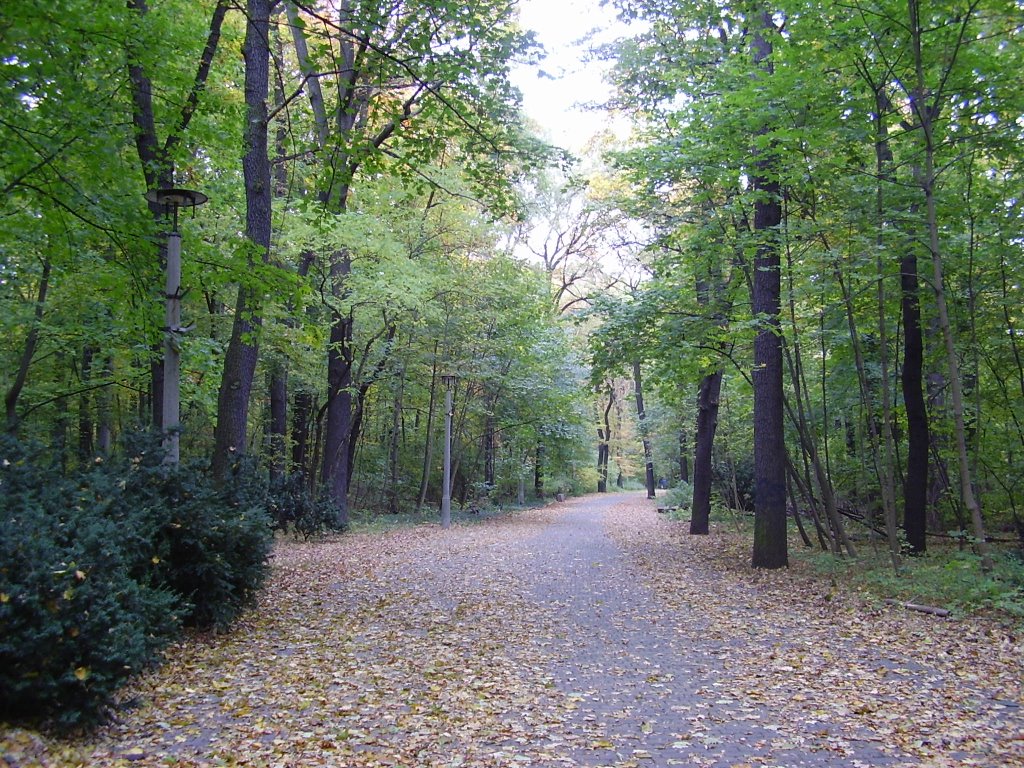 Herbst in Berlin(L,Autunno a Berlino) by Walid Lotfy 73