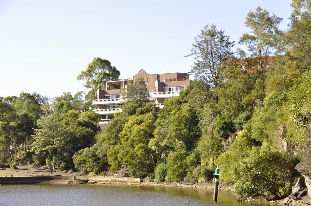 Parramatta River by boat by m.claude