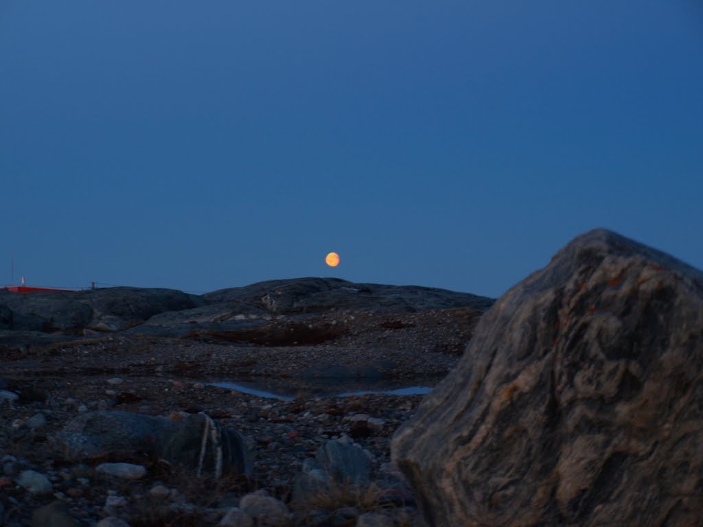 Moon landing by goodjobbob