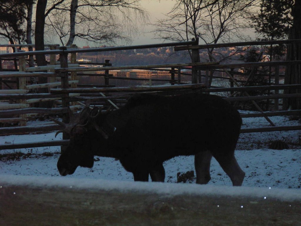 Skansen// by allmodcons