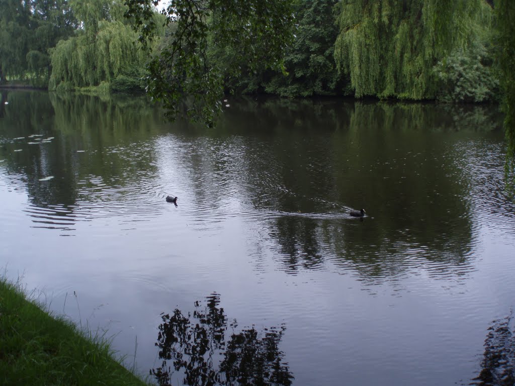 An der Alster by Adi G