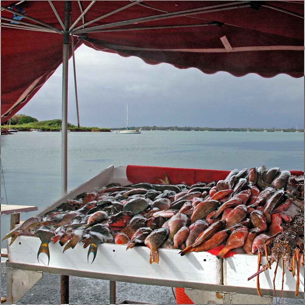 Poisson Frais, Pointe-à-Pitre by Pom²Angers