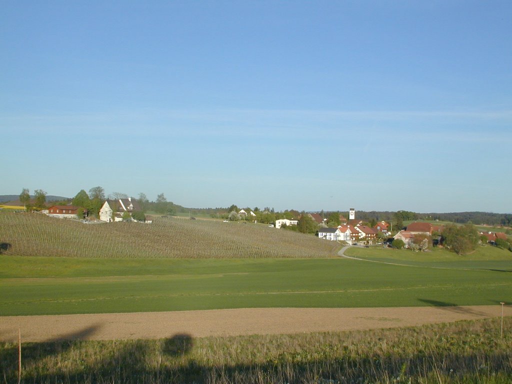 Truttikon, Zürcher Weinland by bigbridge