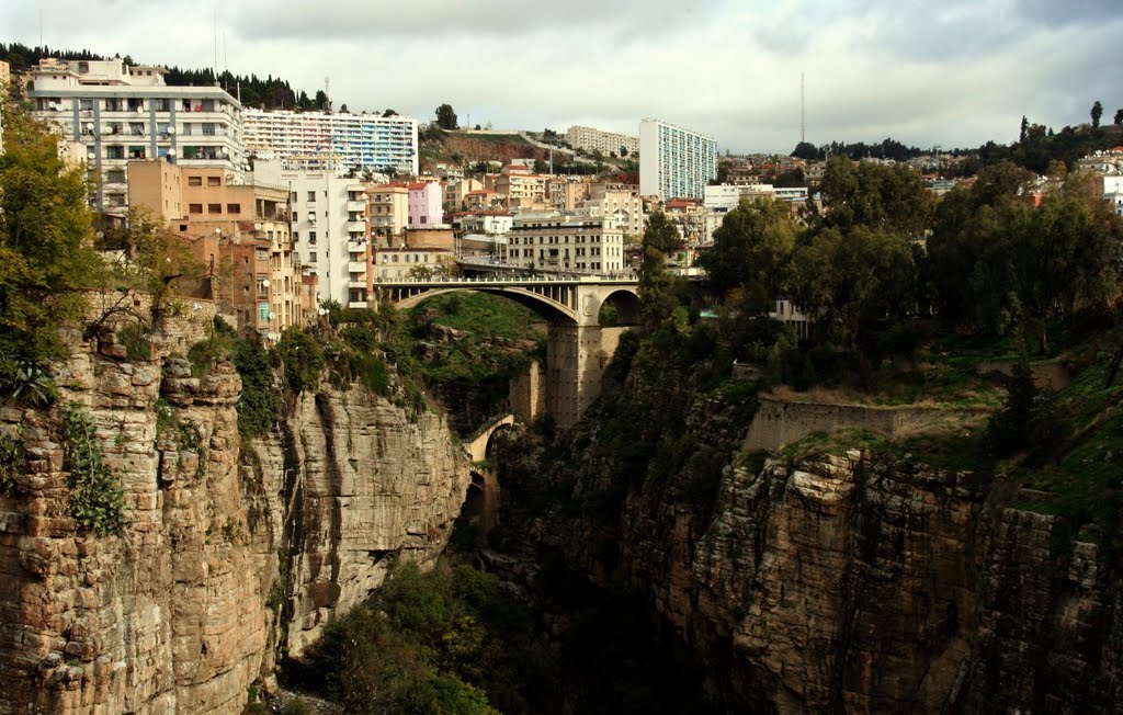 Gantrat sidi rached by mouh el parisien