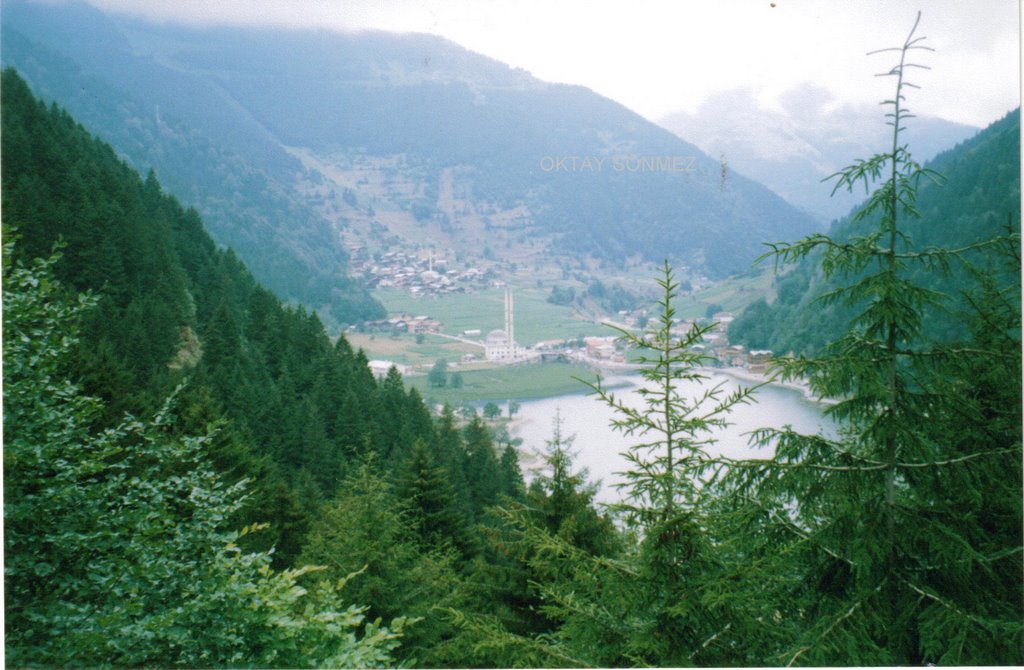 Uzungöl-Trabzon/Türkiye by oktaytr