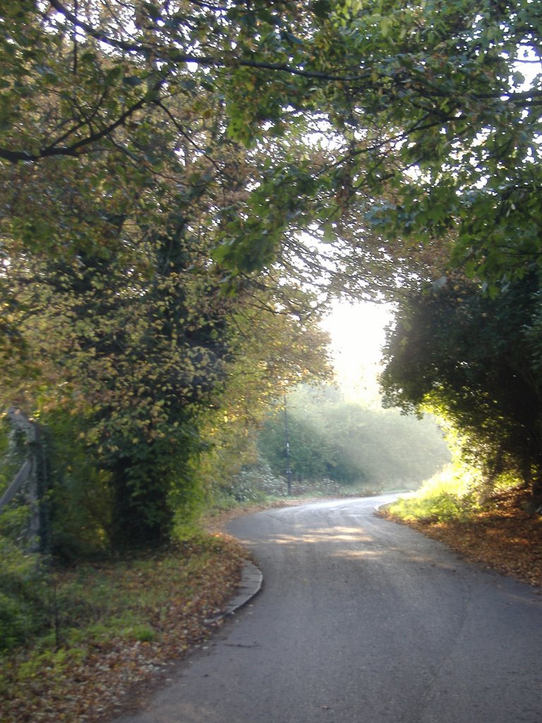 Near Riverside drive, Chiswick, London. by dunk1406