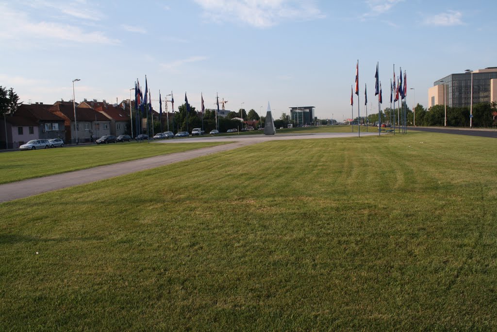 Flags field by Adrian Bancu