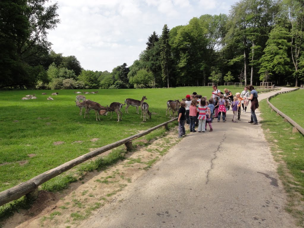 Wildpark by Willi Prinz