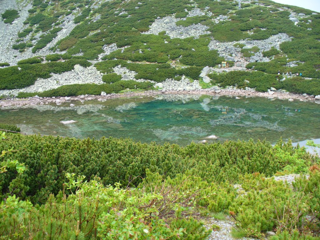 Skalnate Pleso, 1751 m, incredibly clear waters by Yuriy Korsak