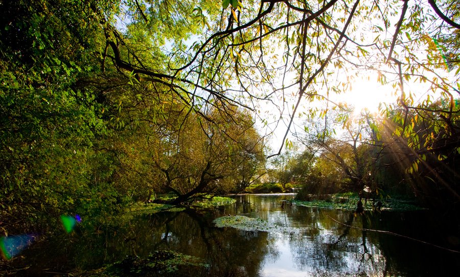 Watermead Country Park by phuttarak