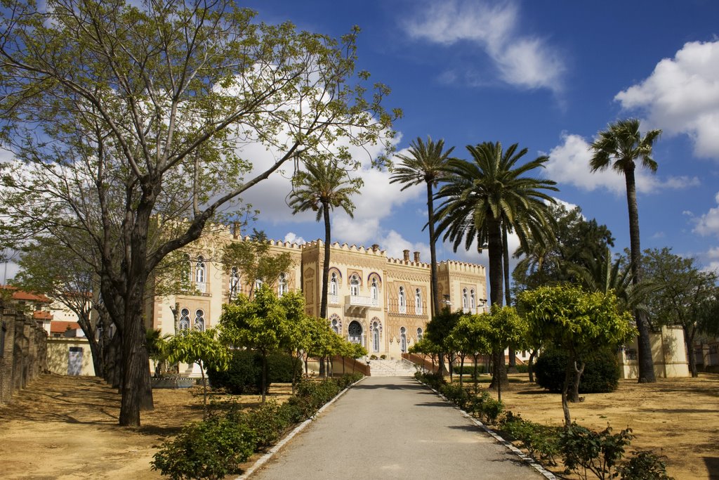 Palacio de Alperi by Jlrivas