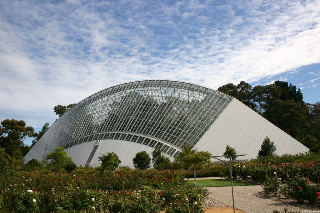 Adelaide Botanic Gardens by urs