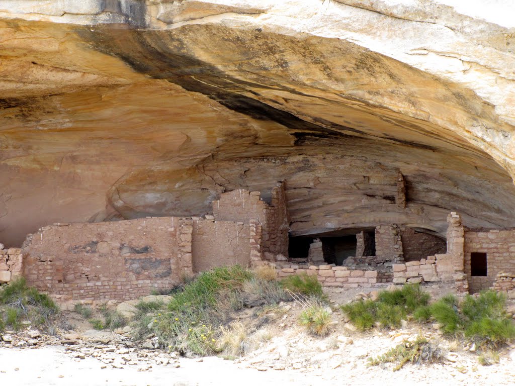 Butler Wash Large Ruins by Chris Sanfino