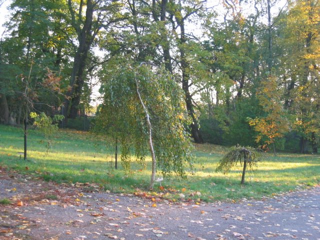 Park w Myślencinku-jesień 2007 by andrnon5