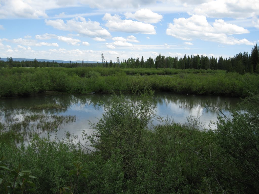 Beaver Springs, Island Park by Jordan Lofthouse