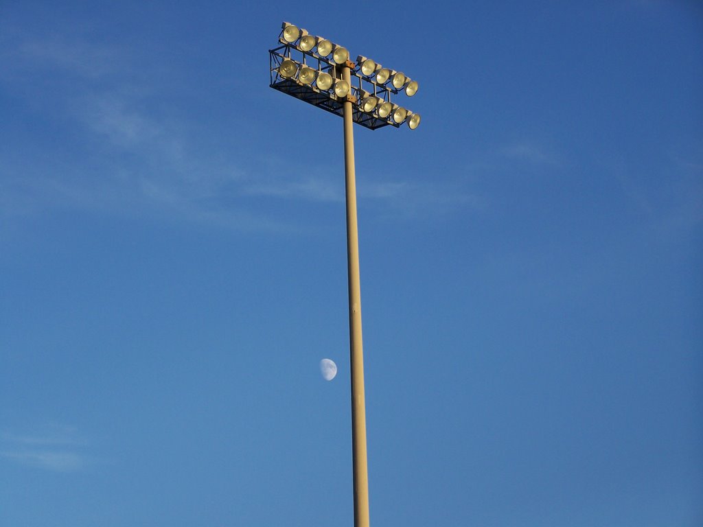 Field lights by david vincent johnso…