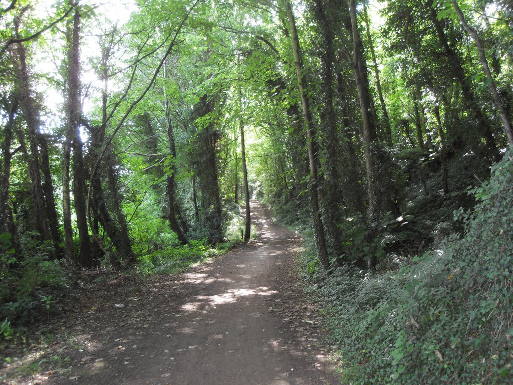 Trans Pennine Trail, Grey Stones by Damon Stead