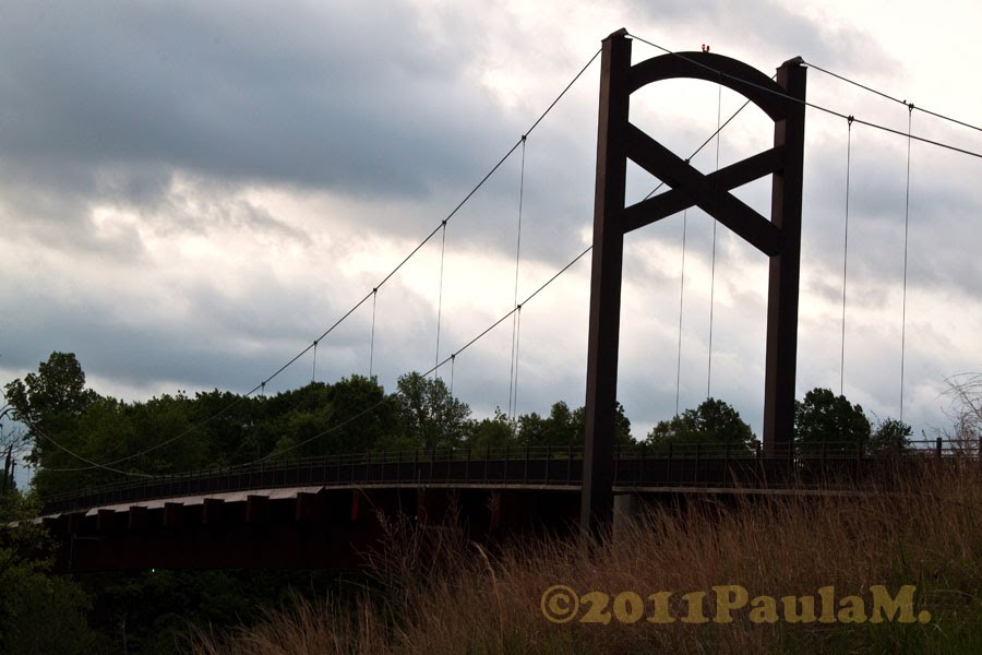 Shelbey Bottoms greenway by paula tejo