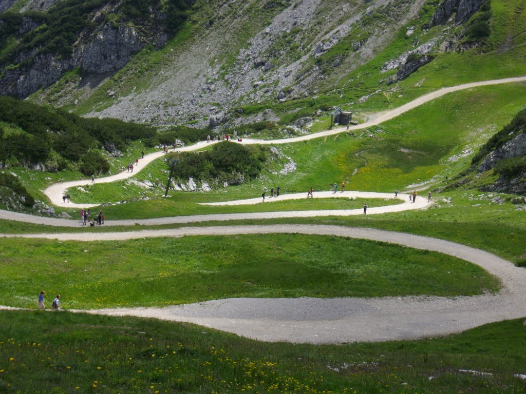 Breiter Wanderweg zur Hochalm by Heike Fröhlich