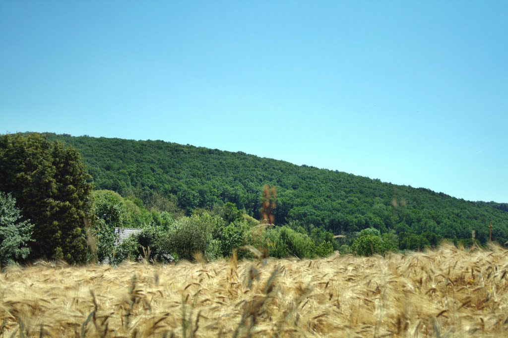 Salzbödetal bei Damm by Urlaubär