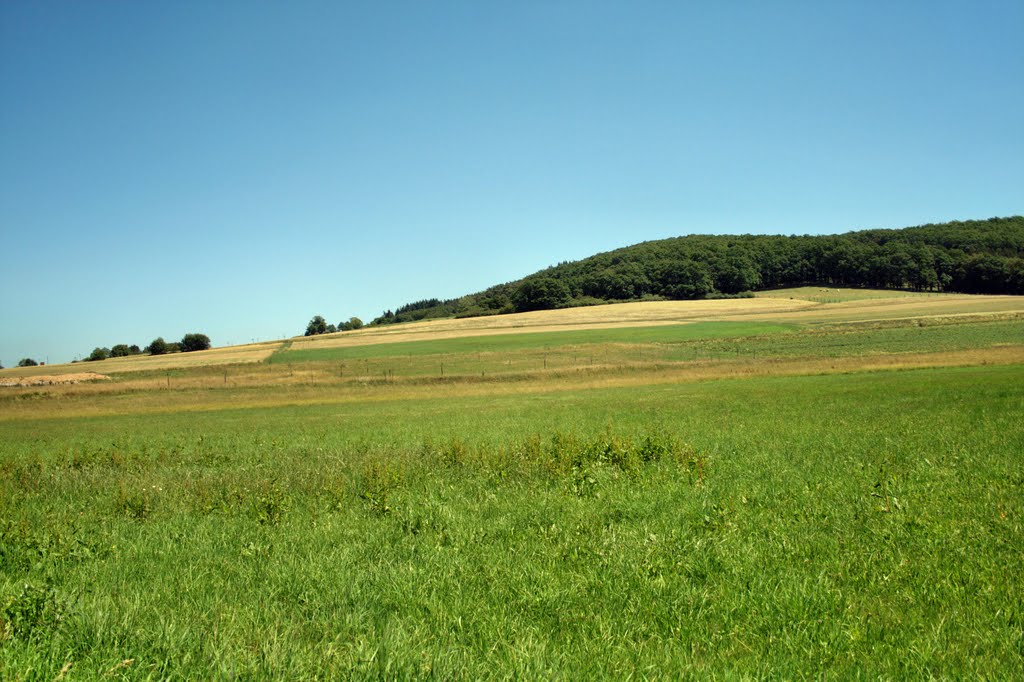 Etzelmühle im Sommer by Urlaubär