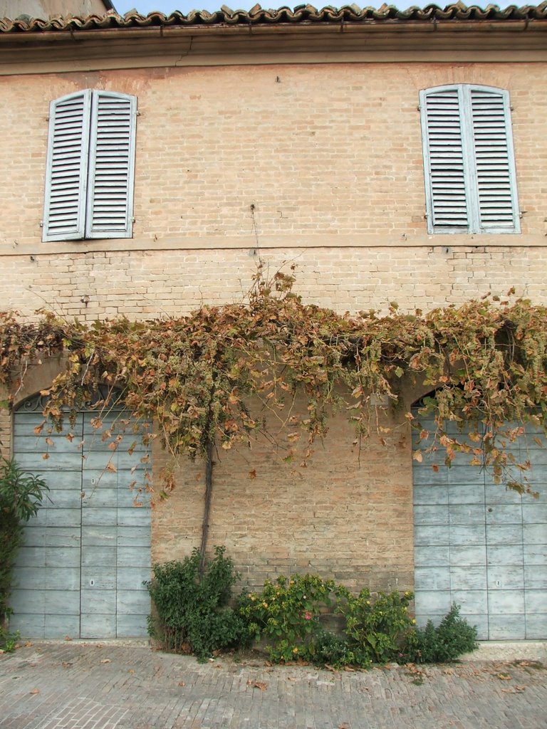 House with vine, Via Giacomo Matteotti (1885 - 1924) by John Goodall