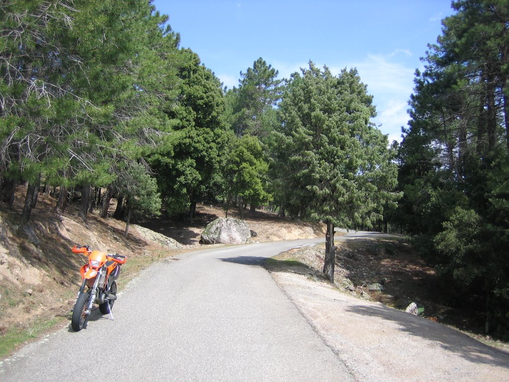 Corsican back roads 2 by tom stevenson