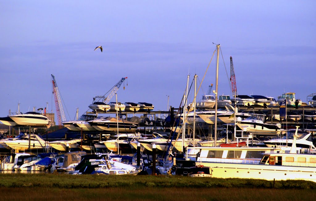 Stacked boats at Cobb's Quay by Graham Hobbs