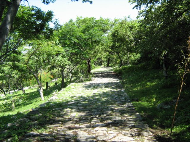 Camino a pie hacia las pirámides by MarioGallardoMolina