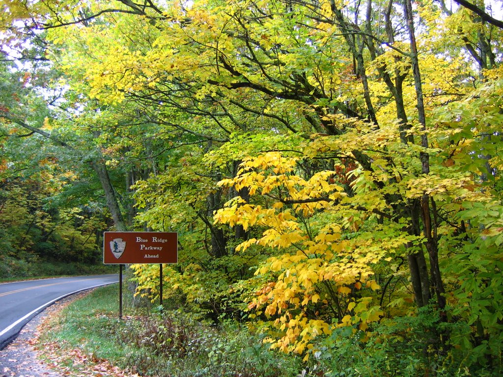 Blue Ridge Parkway by perkins4