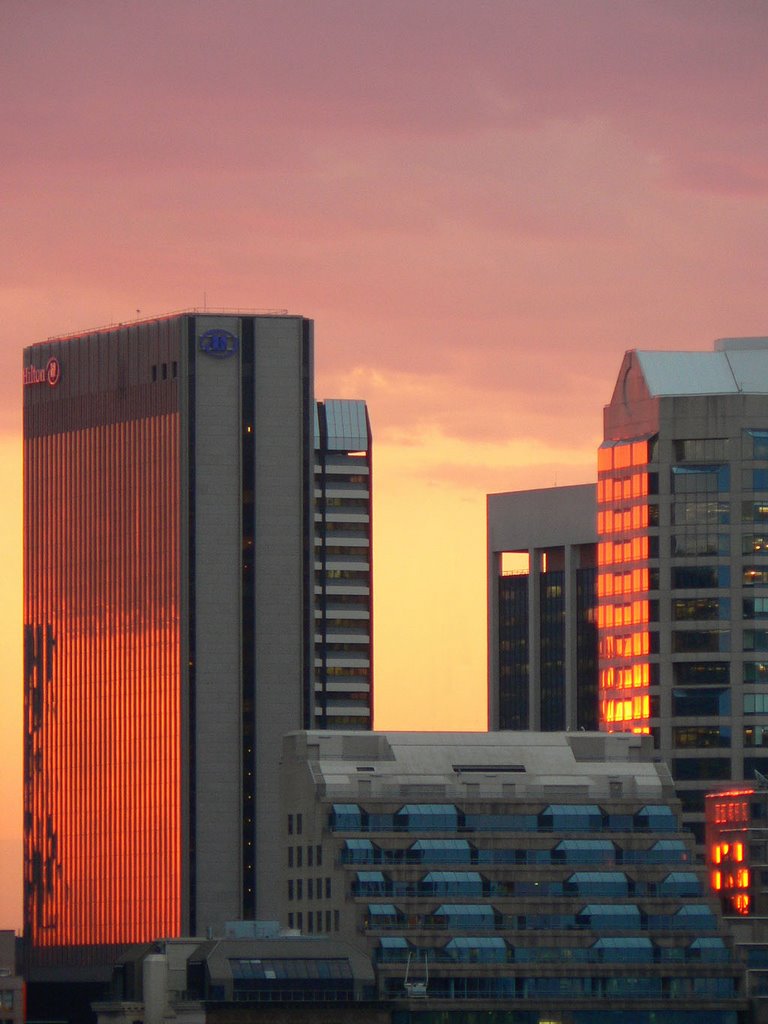 Sydney Hilton Hotel at sunset by djrobd