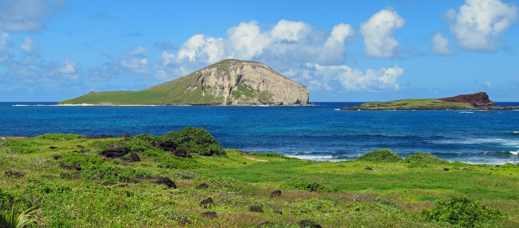 Rabbit / Manana Island, Oahu, Hawai'i by Michael Kane