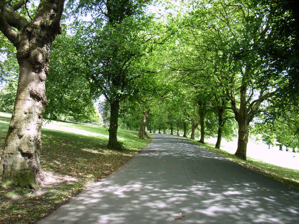 The New Walk, Roundhay Park by stan.w