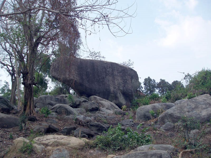 Đá núi Bửu Long by Vietnam - Paracels