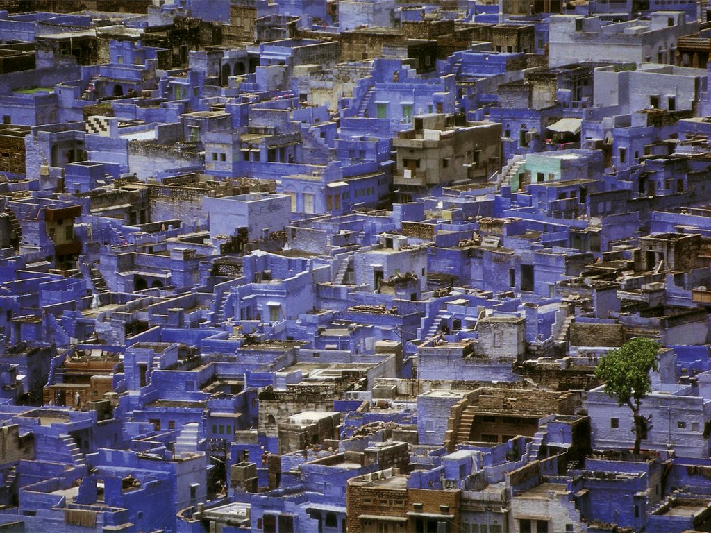 Jodhpur by Filippo Castagna