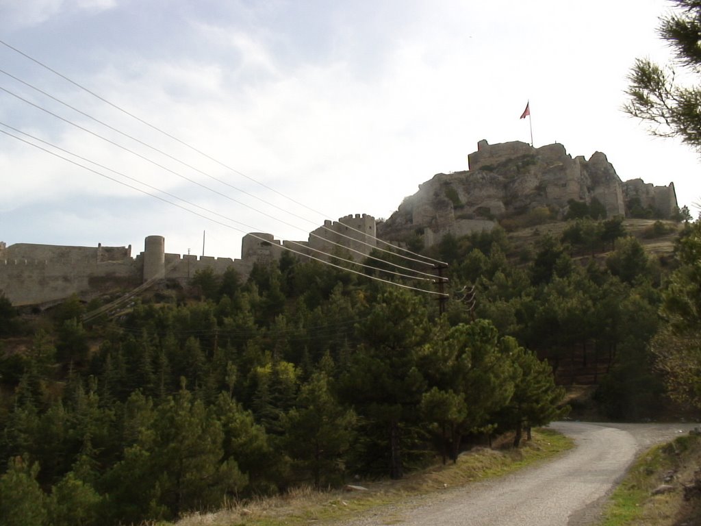 Amasia Castle (Harşena) by Abdulhalim Durma