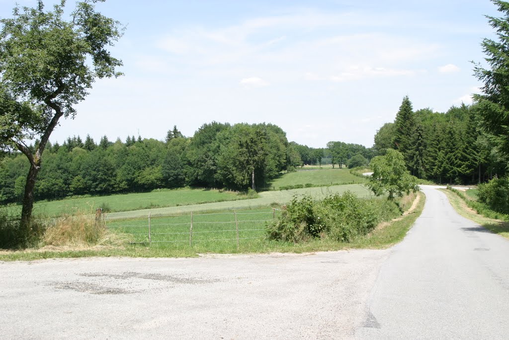 Croisée des chemins by Carrazé Jean-François