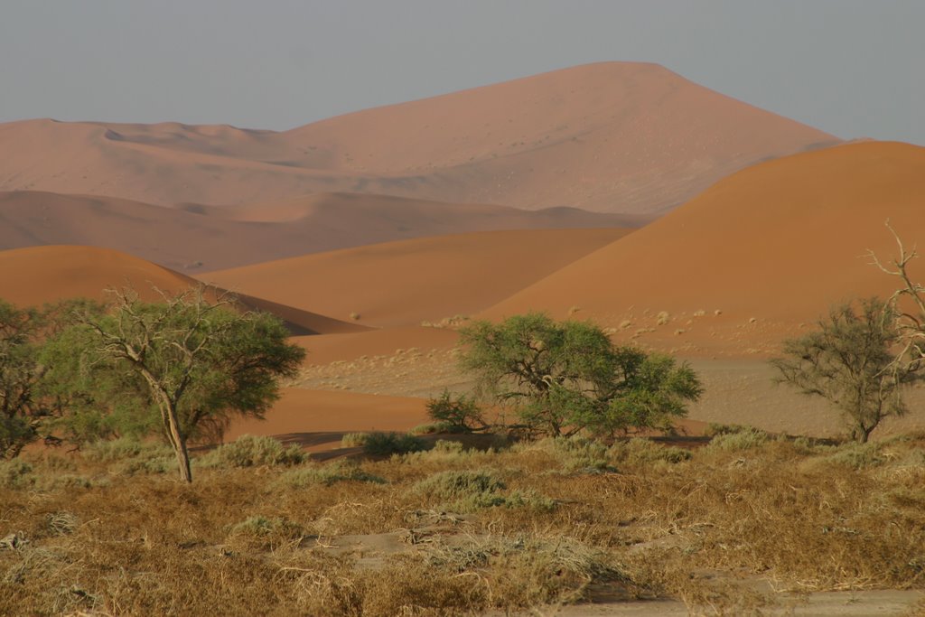 LES DUNES DE SOSSUSVLEI ( NAMIBIE) by maix