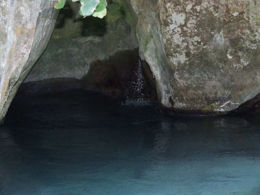 Acheron river: Spring on the rocks! by Alexis Gl.