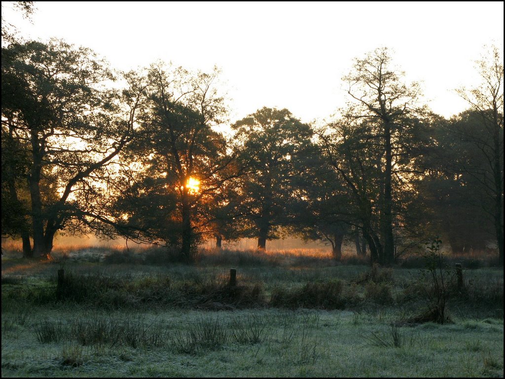 Onstwedde: Zonsopkomst bij Smeerling by © Dennis Wubs