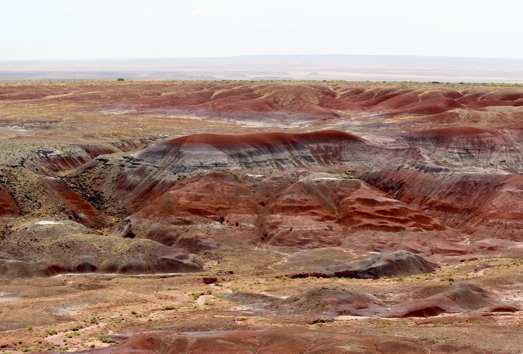 The Painted Desert by PASO