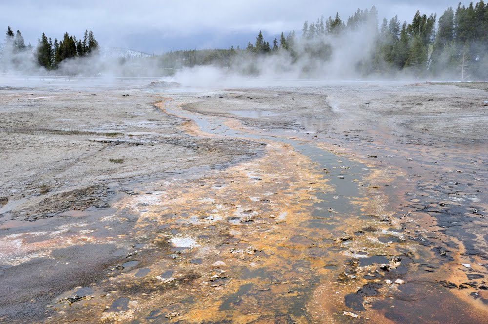 Yellowstone National Park - Upper Geyser Basin by Viktor Németh