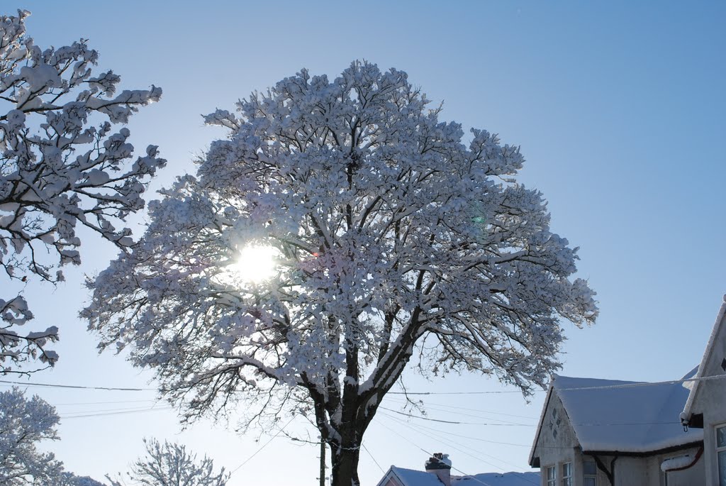 Snow Pantbach Road 1 by John Iles