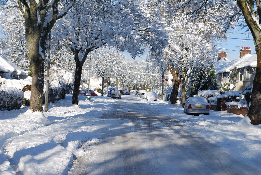 Snow Pantbach Road 3 by John Iles