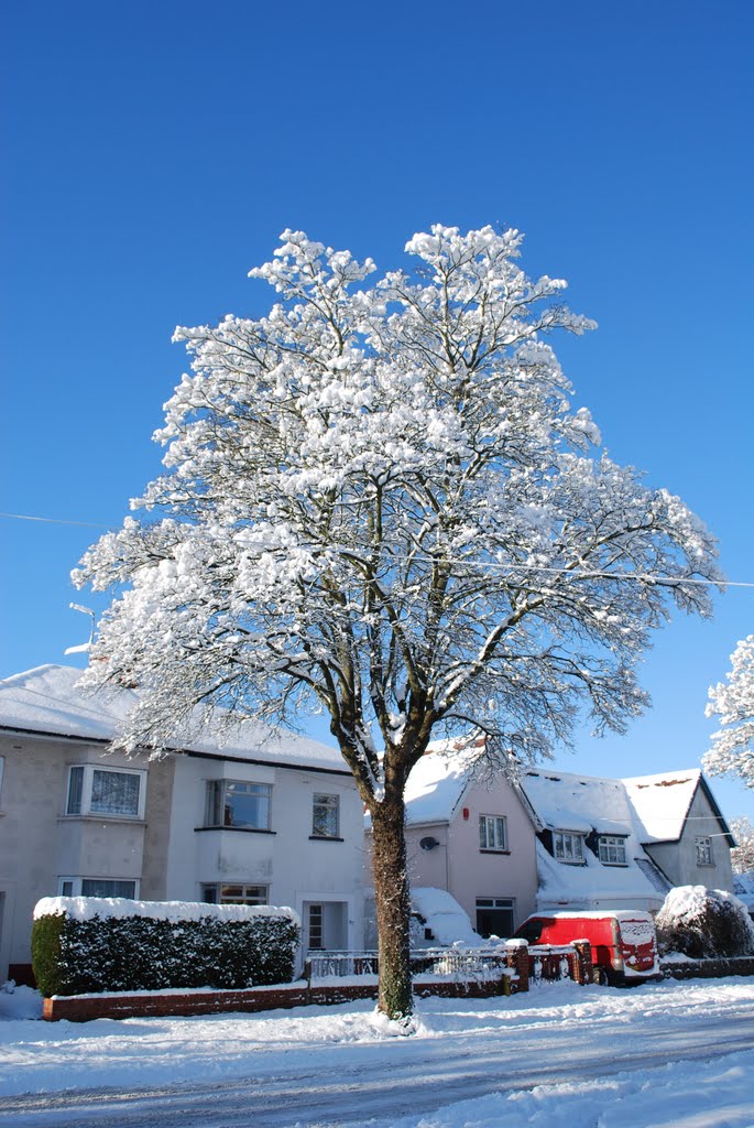 Snow Pantbach Road 4 by John Iles