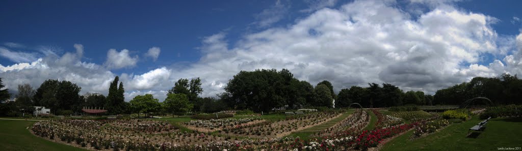 Vue panoramique, dans le parc de la roseraies. by Landry Lachèvre