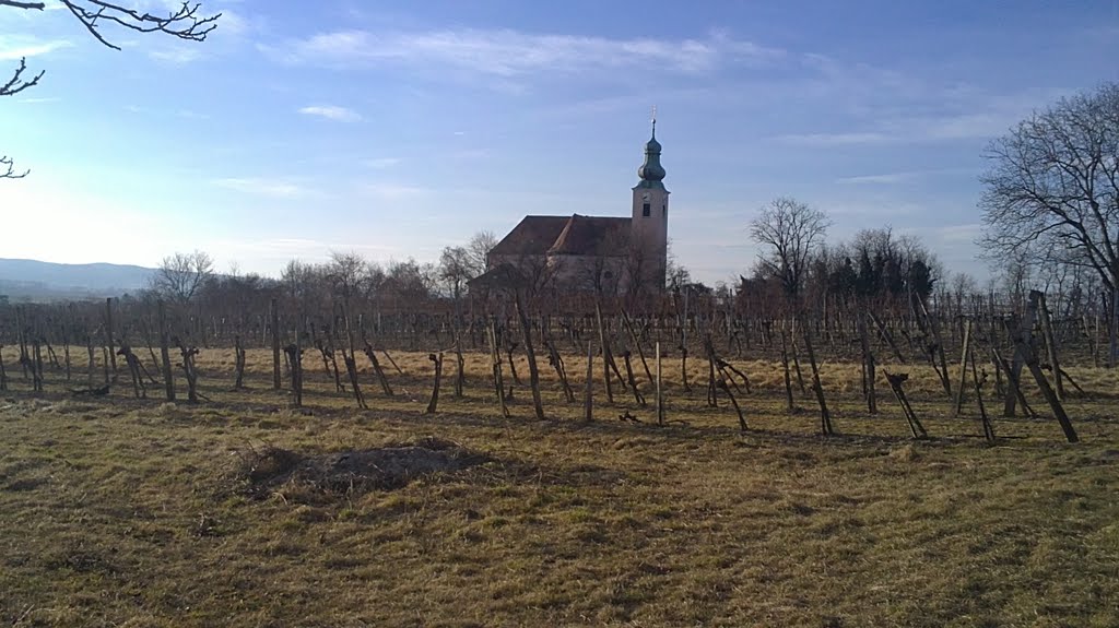 Blick auf Kirche von Reisenberg by cs49340