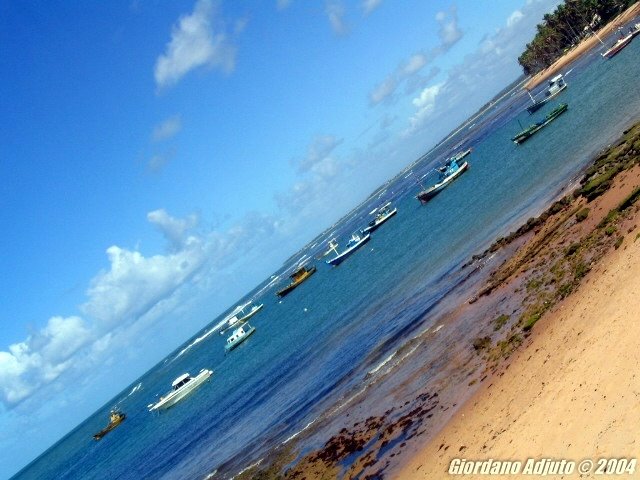 Praia do Forte by Giordano Adjuto